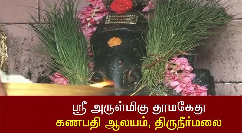 விநாயகருக்கு துாமகேது என்ற பெயர் வரக்காரணம் தெரியுமா?